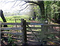 Llwybr Llanbedr Pont Steffan - Path to Lampeter