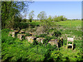 Near the entrance to North Meadow National Nature Reserve, Cricklade