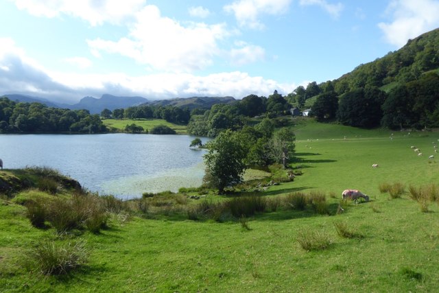 Towards Loughrigg Tarn © DS Pugh cc-by-sa/2.0 :: Geograph Britain and ...