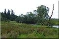 NY3605 : Fields beside the Rothay by DS Pugh