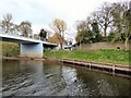 Clifton Bridge