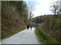 Track in Cardinham Woods