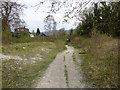 Path between Coombe Hill and Wendover