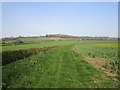 Farm track at Scagglethorpe