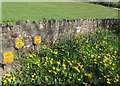 Yellows and greens alongside the A40, Bwlch, Powys