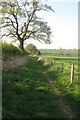 Bridleway heading out of Norton