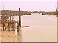 River Colne at Wivenhoe; looking downstream