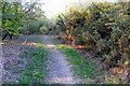 Path down to the weir