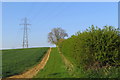 Pylon in the field