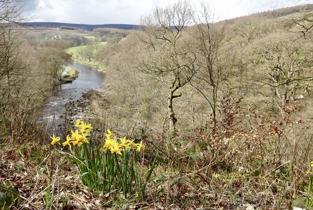 Wharfedale in spring