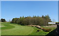 Woodland, Marsden Park Golf Course