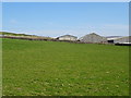 Grazing off Southfield Lane, Catlow