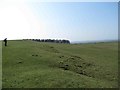 Bridleway towards Moot Law Plantation