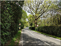 TQ3134 : Paddockhurst Road, B2110 by Robin Webster