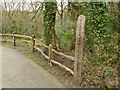 Fence at Poynton Coppice Local Nature Reserve