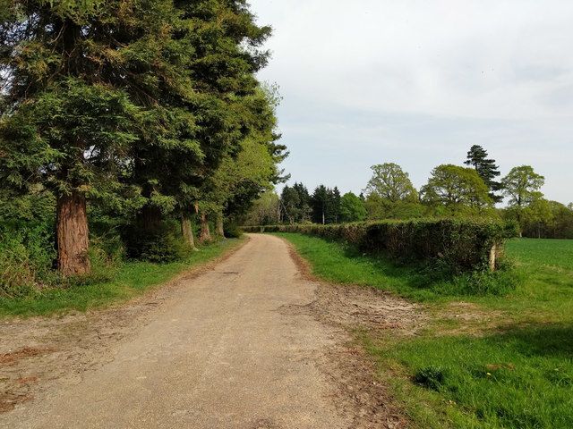 Bridleway from Pease Pottage © Robin Webster :: Geograph Britain and ...