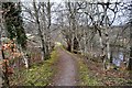 Riverside Path, Lower Foyers