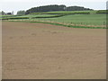 Molehills in a newly sown grass field