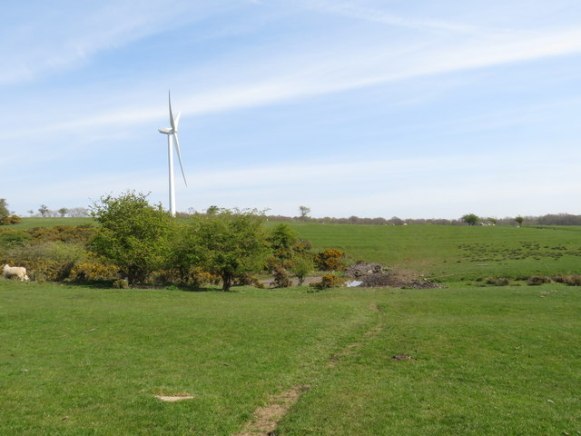 Field near Sedgefield