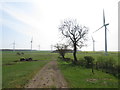 NZ3931 : Bridleway and wind farm near Sedgefield by Malc McDonald