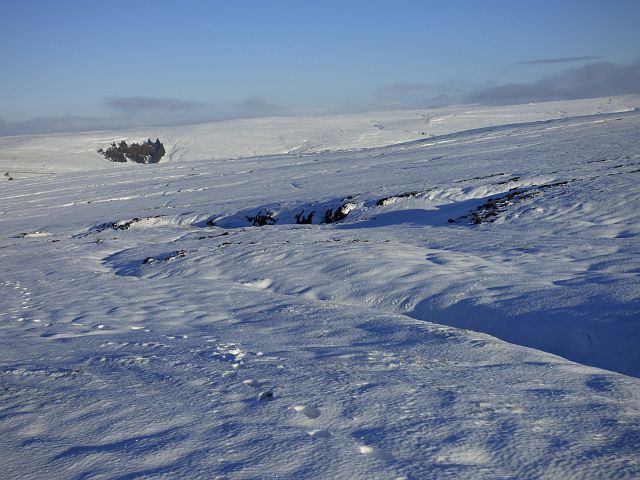 Moorland, Ousby © Andrew Smith cc-by-sa/2.0 :: Geograph Britain and Ireland