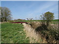 River Skerne near Sedgefield