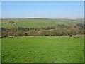 Grazing near Acre Farm