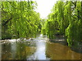 River Colne near Long Bridge, Uxbridge