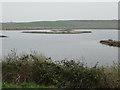 SE3927 : Large island, Main lake, RSPB St Aidan's by Christine Johnstone