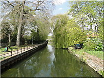 TL8683 : River Little Ouse from the bridge in Bridge Street, Thetford by Adrian S Pye