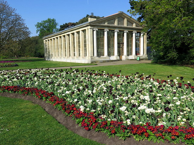 Aroid House Royal Botanic Gardens Kew © Andrew Curtis Geograph