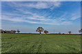 Footpath From Keele To Madeley