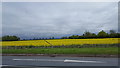 Farmland near to Grove