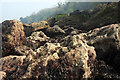 SX9364 : Rocks at Anstey's Cove by Derek Harper