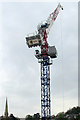 SX9263 : Crane, Torquay by Derek Harper