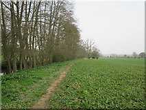 SE6282 : Field  edge  footpath  alongside  the  River  Rye by Martin Dawes