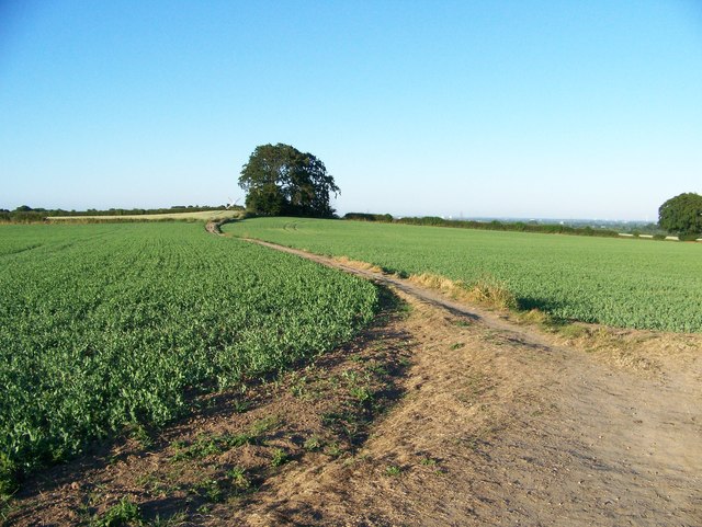 Footpath to Gallow Hill