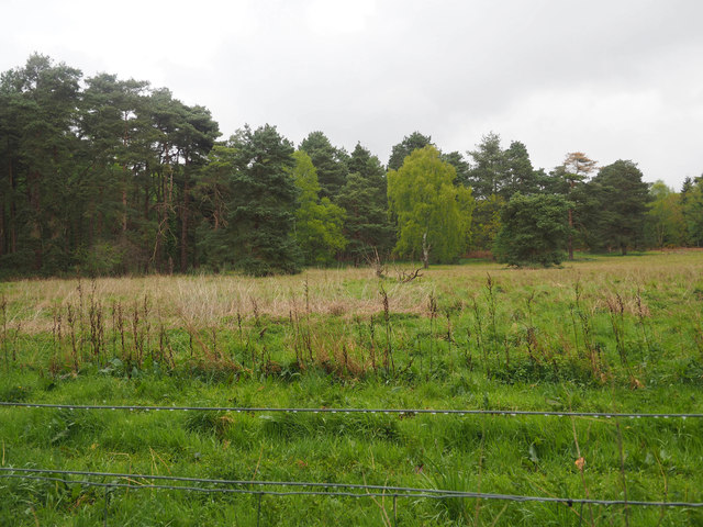 Rough grassland in STANTA © David Pashley :: Geograph Britain and Ireland