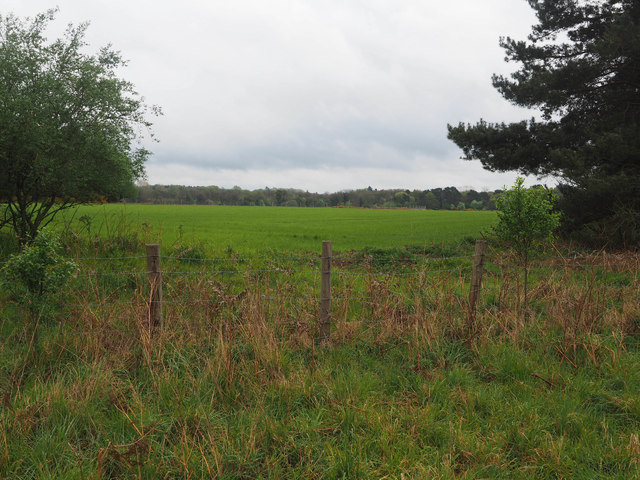 Arable farming in STANTA © David Pashley :: Geograph Britain and Ireland