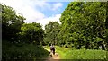 Walking through Haywood Oaks Plantation