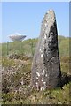 SW7221 : Dry Tree menhir by Philip Halling