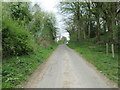 Hagg  Road  at  the  north  end  of  Robin  Hood