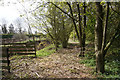 Path leading to Beeford Road near Low Upton