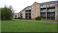 Flats overlooking Bole Hill