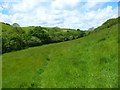 Pasture, Veryan