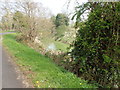 Bend in the Newry Canal and Towpath at the northern end of Lake Acton