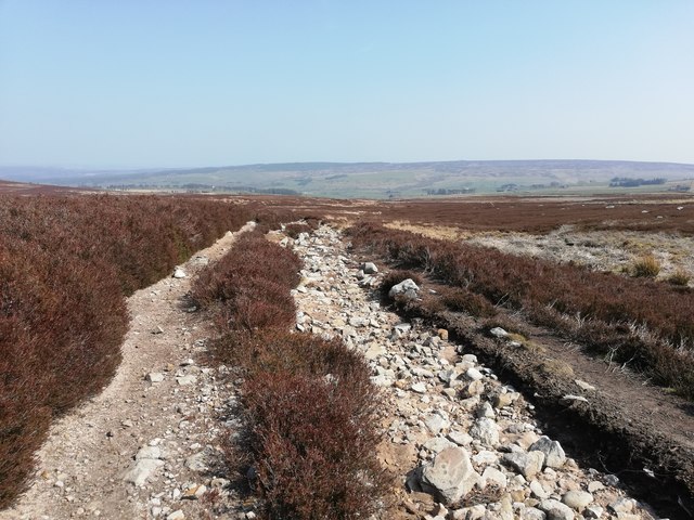 Bridleway on Hexhamshire Common known as the Broadway