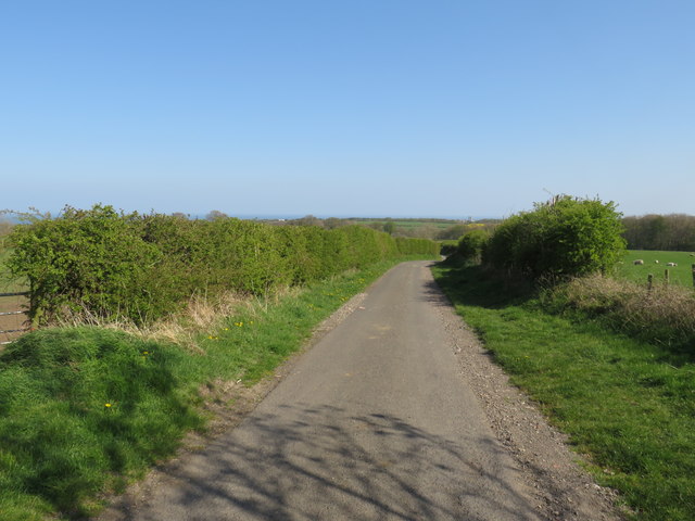 Country lane near Ryhope