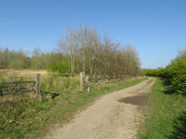 The Stephenson Trail at Warden Law, near Houghtin-le-Spring