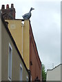 A big bird on the roof